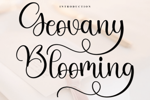 Geovany Blooming: The Friendly Typeface for Polished Brand Visuals