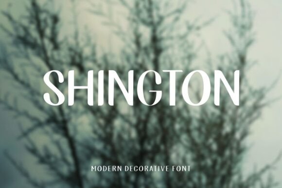 Shington Font Review: Elevating Small Business Brand Identity